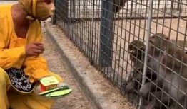 娱乐吃瓜酱猴子,揭秘猴子背后的娱乐产业秘密